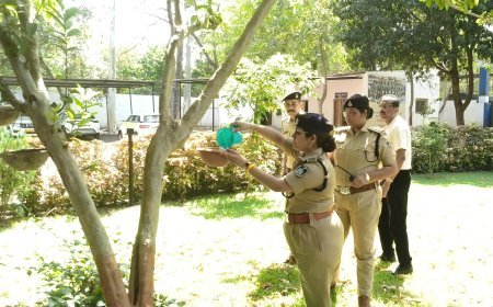 गुना पुलिस की मानवीय पहल: भीषण गर्मी में पक्षियों के लिए जल व्यवस्था