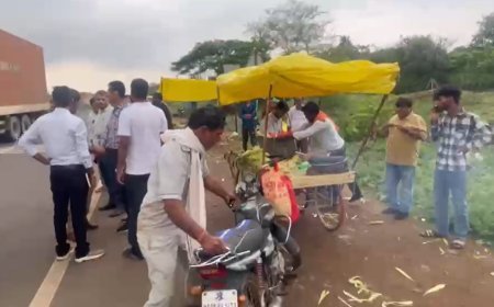 गुना-म्याना बायपास से हटाए गए अवैध ठेले, गौशाला भेजे गए