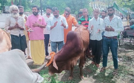 सावन के पावन अवसर पर गौ सेवा गतिविधि ने शुरू किया नंदी पूजन