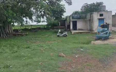 कागजों में बनी बाउंड्रीवॉल, डकार गए 2.64 लाख!