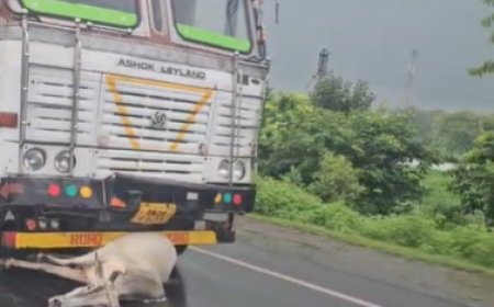 एनएच-46 पर रोंगटे खड़े कर देने वाली घटना