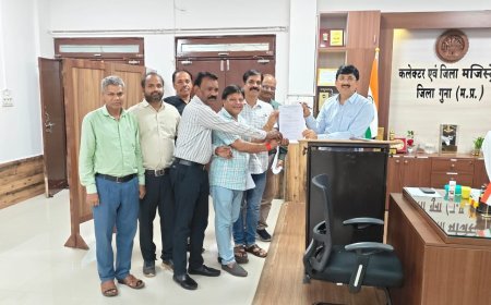 राजस्व निरीक्षक ने मांगा नायब तहसीलदार पद पर प्रमोशन