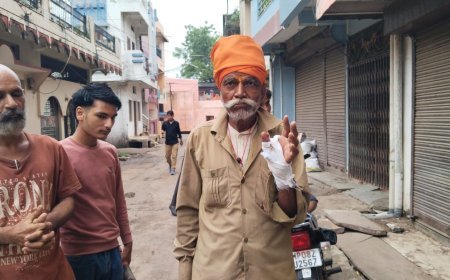तलैया मोहल्ला मार्ग पर श्वान का आतंक, बुजुर्ग को किया घायल
