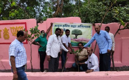 नर्मदेश्वर महादेव मंदिर परिसर वार्ड 4 में 300 पौधों का रोपण