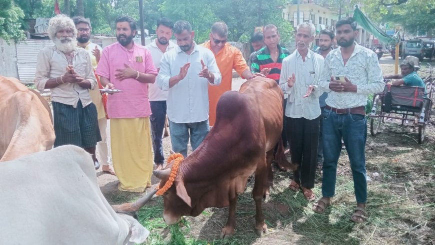 सावन के पावन अवसर पर गौ सेवा गतिविधि ने शुरू किया नंदी पूजन