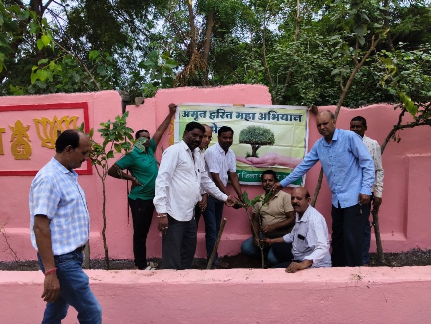 नर्मदेश्वर महादेव मंदिर परिसर वार्ड 4 में 300 पौधों का रोपण
