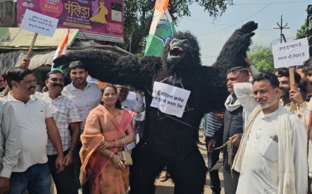 भाजपा को देशभर में खतरा है, इसलिए ज्ञानेश के साथ मिलकर रचा षड्यंत्र - जयवर्धन सिंह